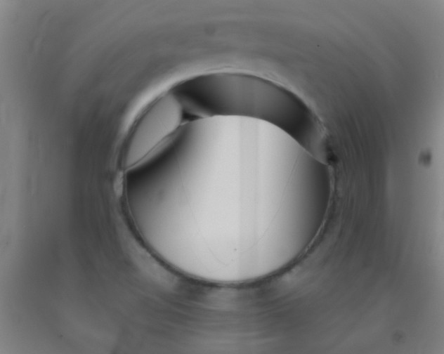 X0000092021510200709271539