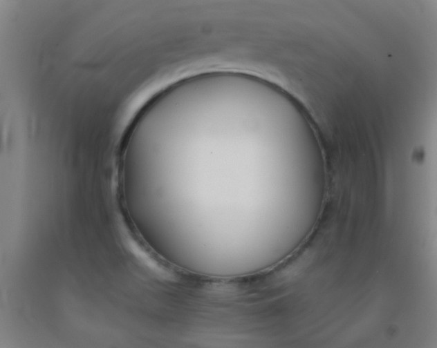 X0000092021511200709271539