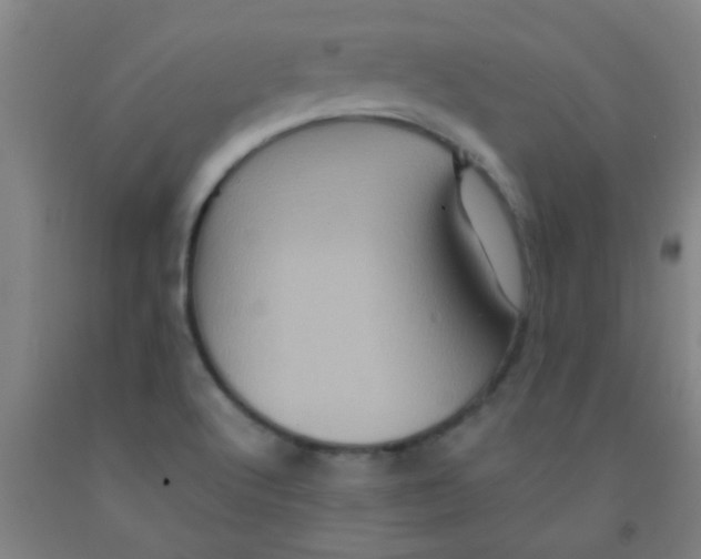 X0000092021512200709271539