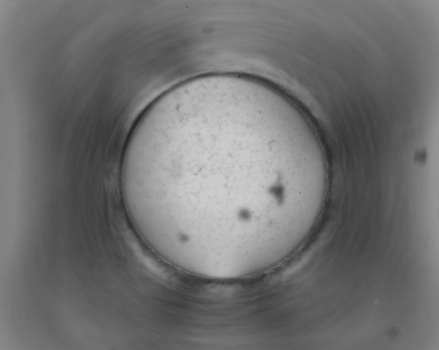 X0000092021513200709271539