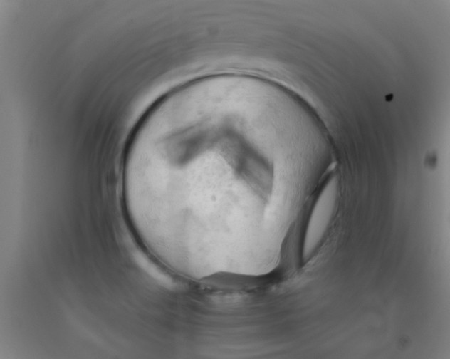 X0000092021515200709271539