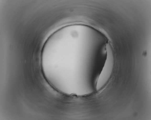 X0000092021516200709271539