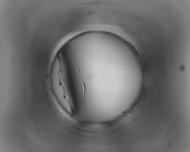 X0000092021517200709271539