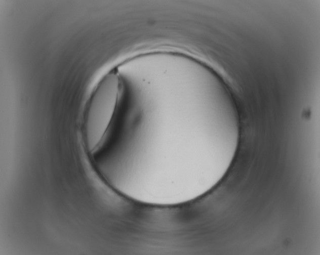 X0000092021518200709271539