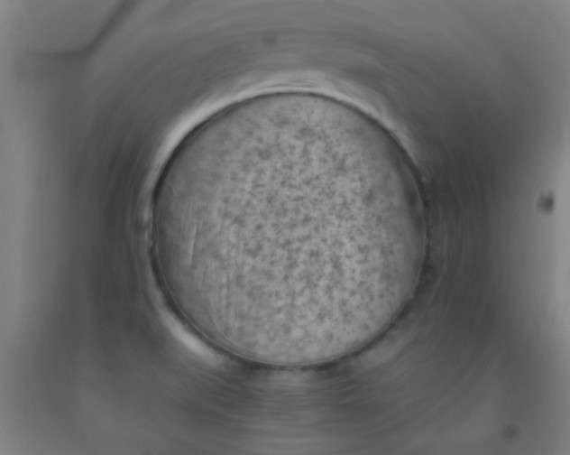 X0000092021519200709271539