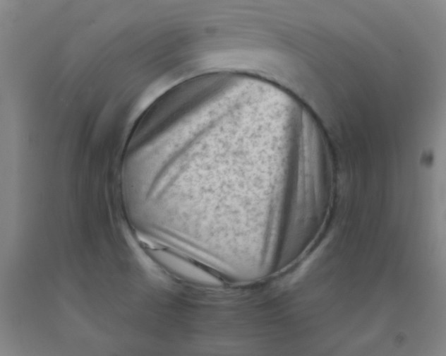 X0000092021521200709271539