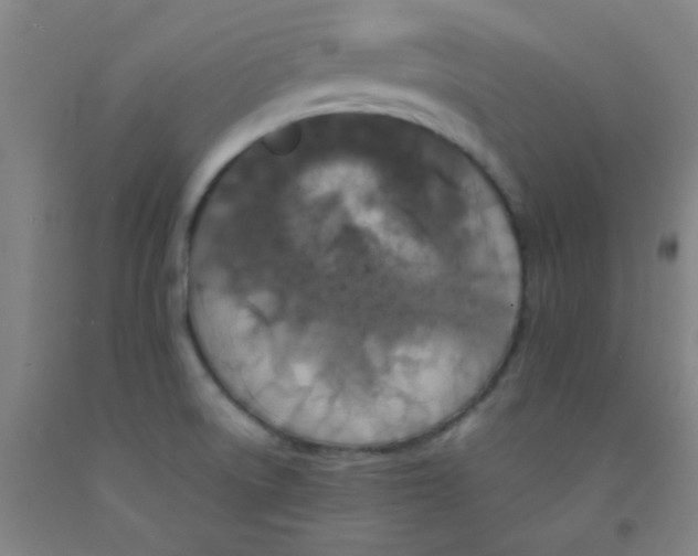 X0000092021522200709271539