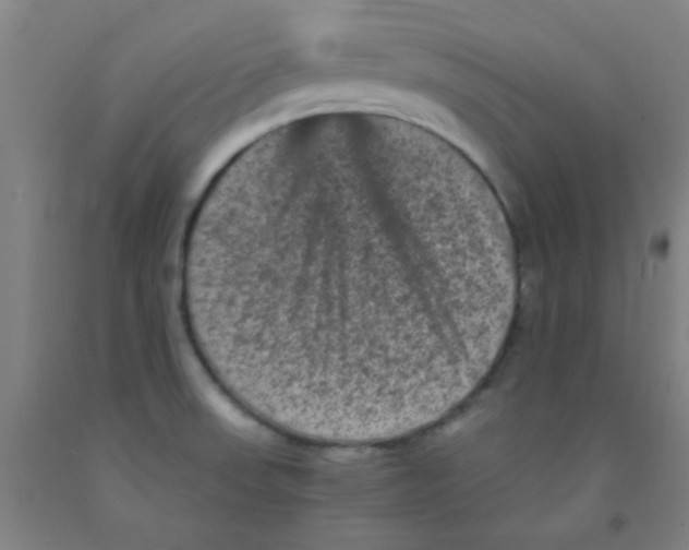 X0000092021523200709271539