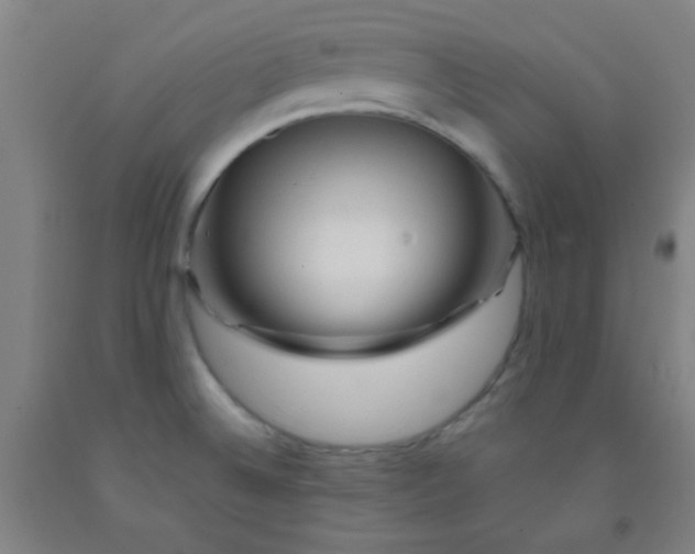 X0000092021524200709271539