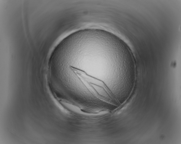 X0000092021525200709271539