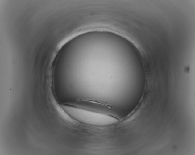 X0000092021526200709271539