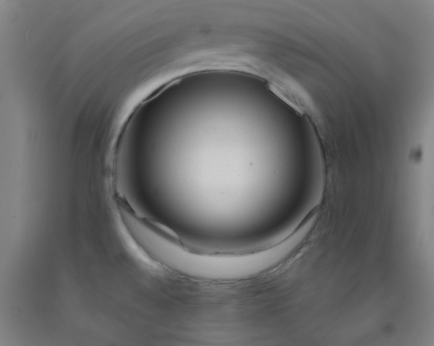 X0000092021528200709271539