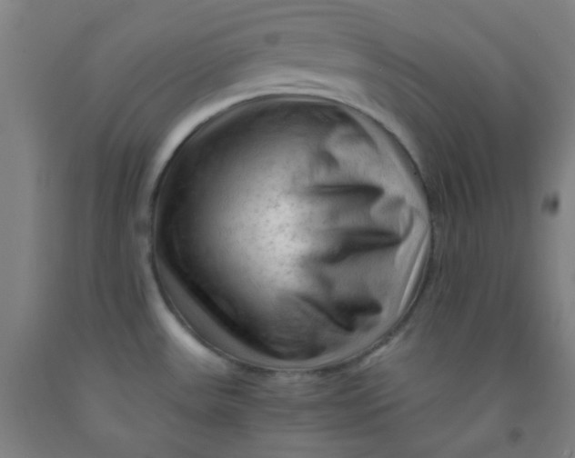 X0000092021531200709271539