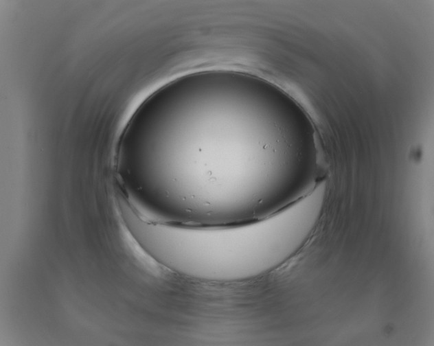 X0000092021532200709271539