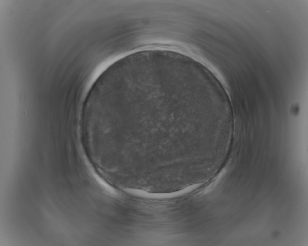 X0000092021533200709271539