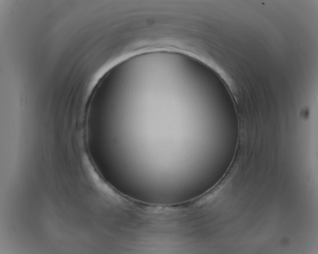 X0000092021534200709271539