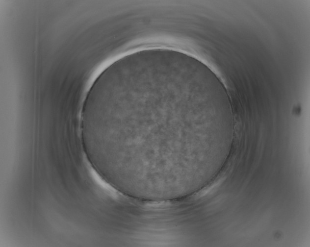 X0000092021535200709271539