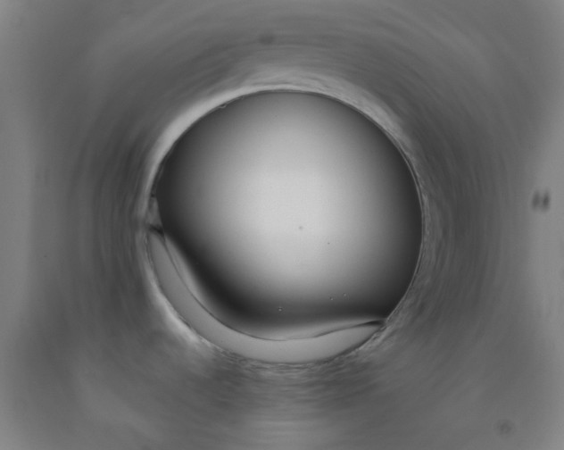 X0000092021536200709271539