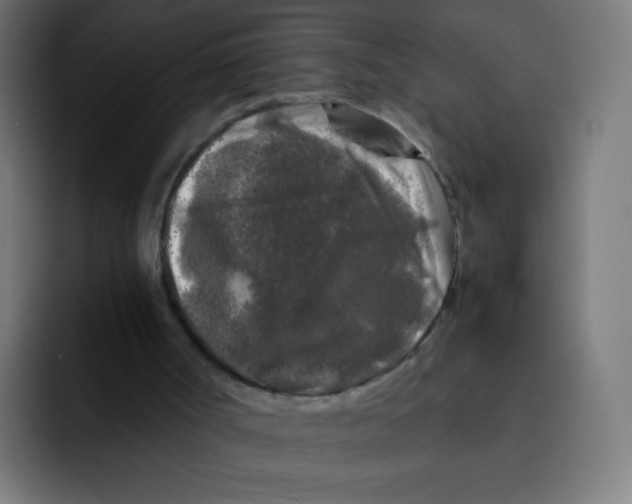 X0000092020002200710041052