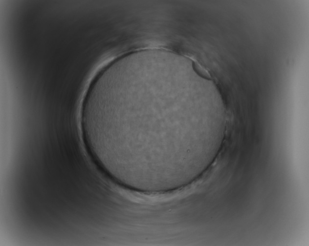 X0000092020006200710041052