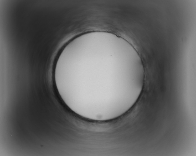 X0000092020008200710041052