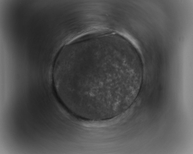 X0000092020009200710041052