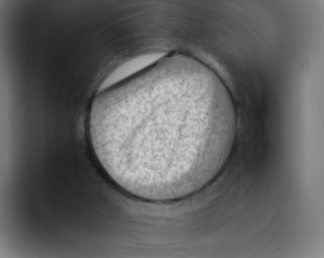 X0000092020010200710041052