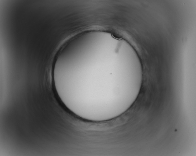 X0000092020011200710041052