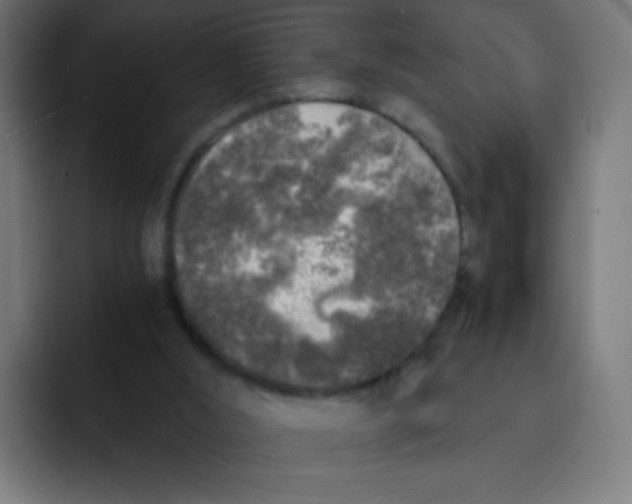 X0000092020012200710041052