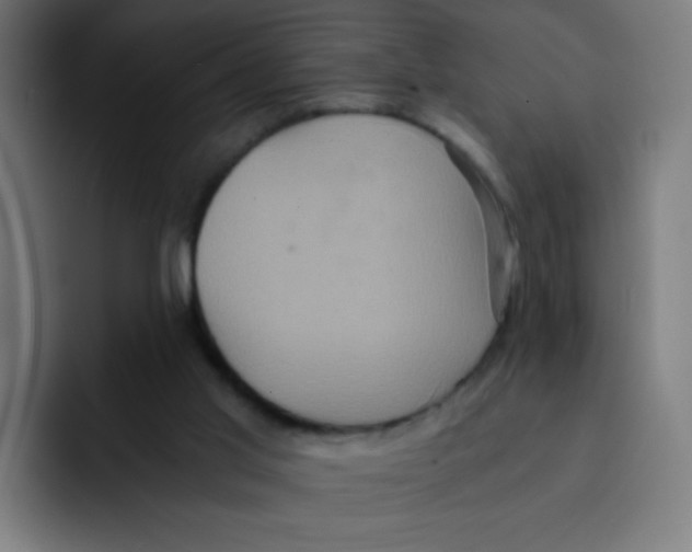 X0000092020013200710041052