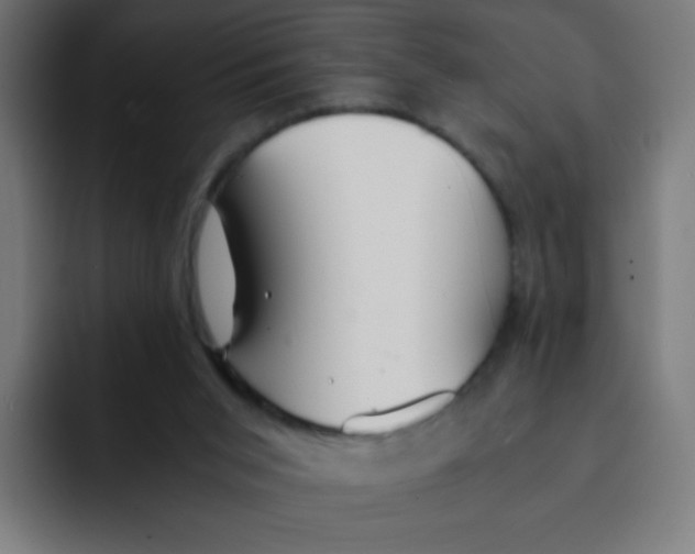 X0000092020015200710041052