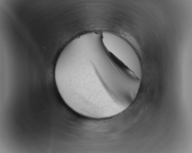 X0000092020017200710041051