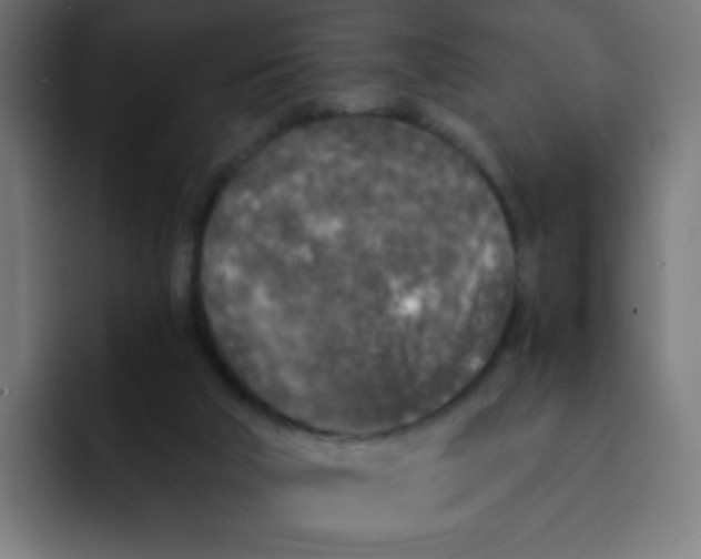 X0000092020018200710041051