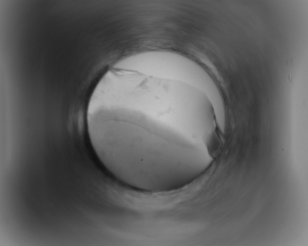 X0000092020019200710041051