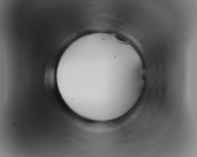 X0000092020020200710041051