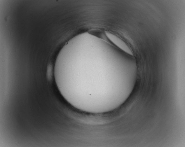 X0000092020024200710041051