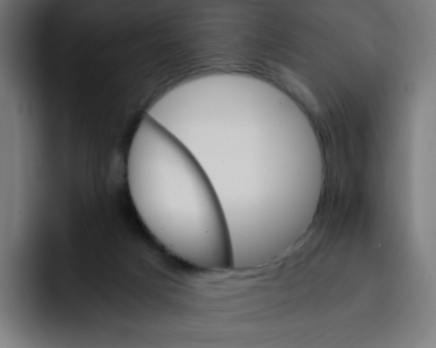 X0000092020025200710041051