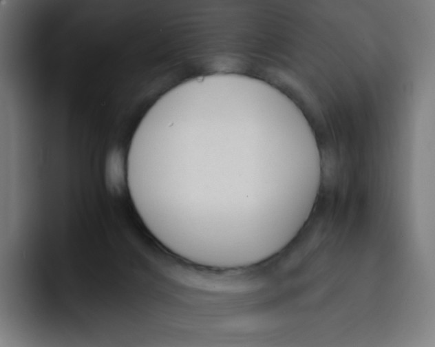 X0000092020028200710041051