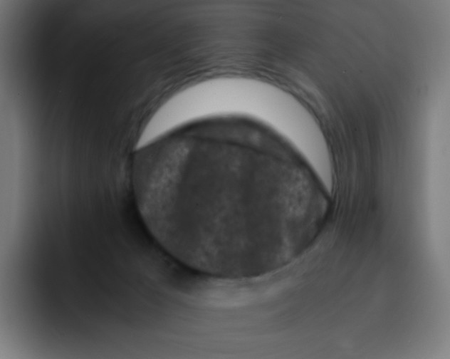 X0000092020029200710041051