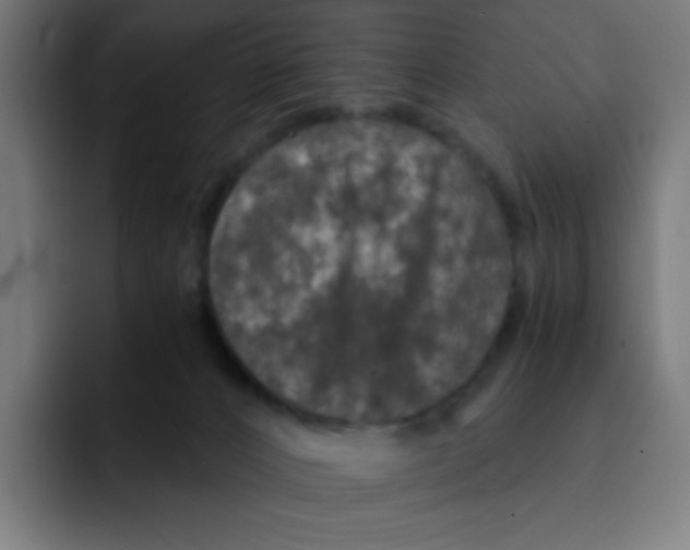 X0000092020032200710041051