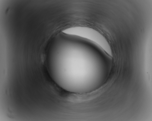 X0000092020033200710041051