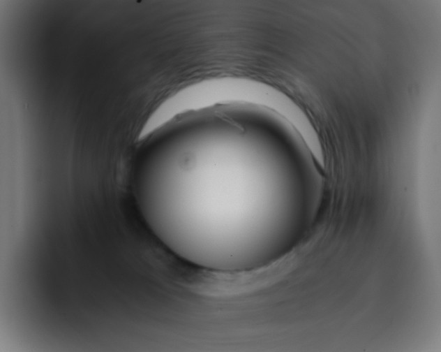 X0000092020037200710041051