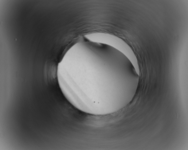 X0000092020041200710041051