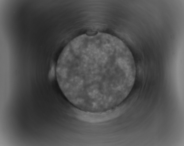 X0000092020042200710041051