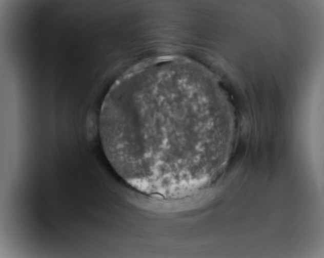 X0000092020043200710041051