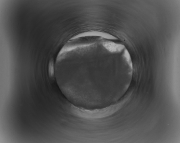 X0000092020046200710041051