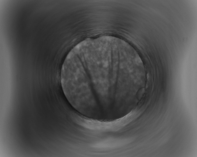 X0000092020048200710041051