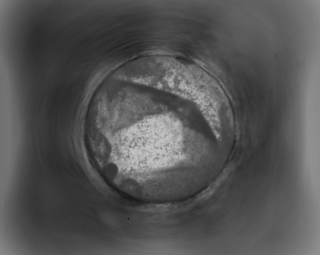 X0000092020049200710041051