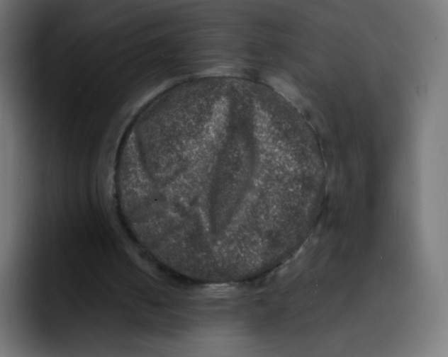 X0000092020050200710041051