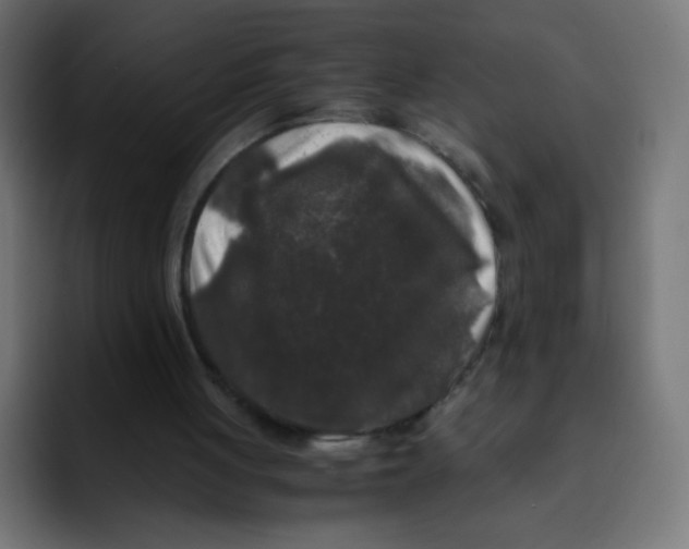 X0000092020051200710041051